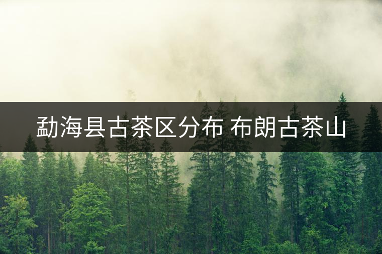 勐?？h古茶區(qū)分布 布朗古茶山