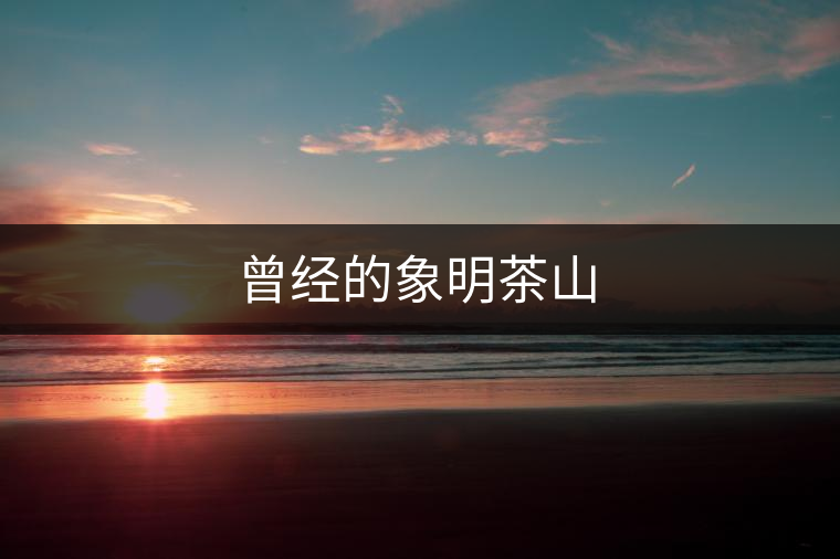 曾經(jīng)的象明茶山 曾經(jīng)的象明茶山