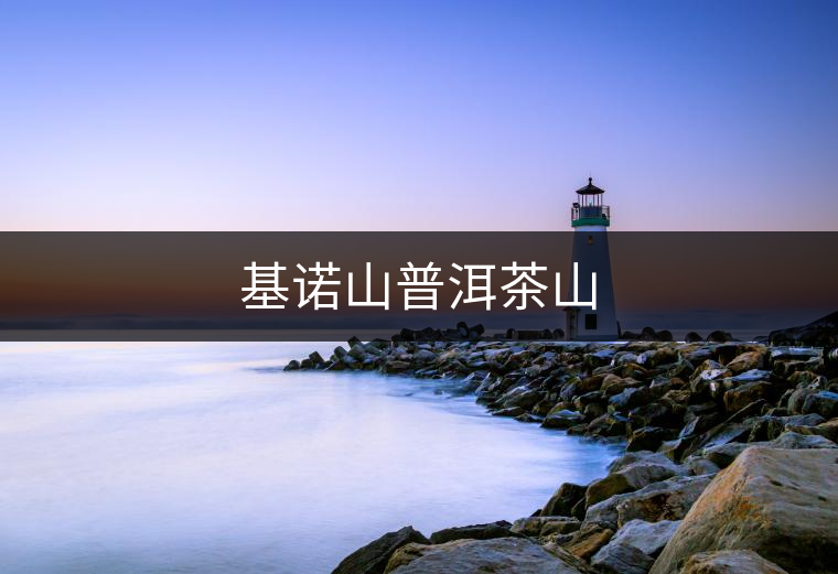 基諾山普洱茶山 基諾山普洱茶山