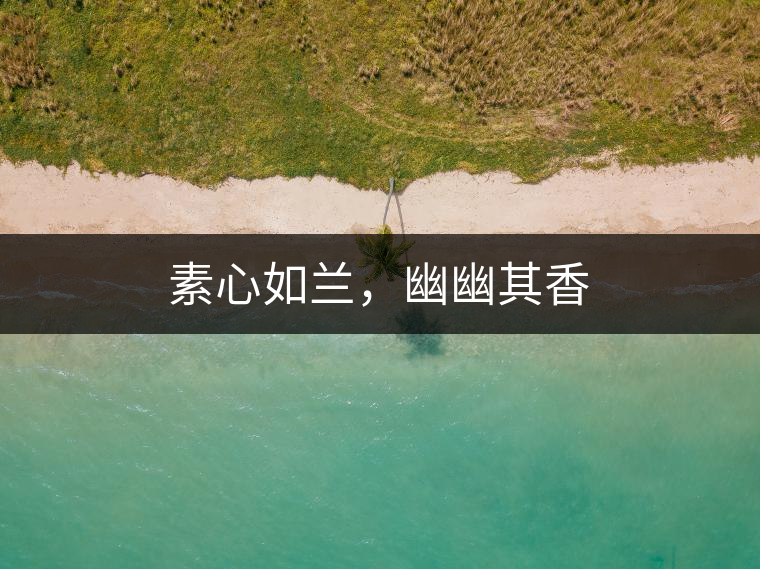 素心如蘭，幽幽其香