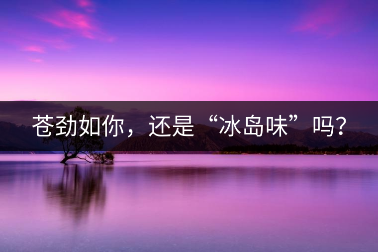 蒼勁如你，還是“冰島味”嗎？