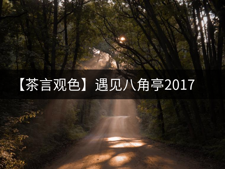 【茶言觀色】遇見八角亭2017年魅力老寨·老班章
