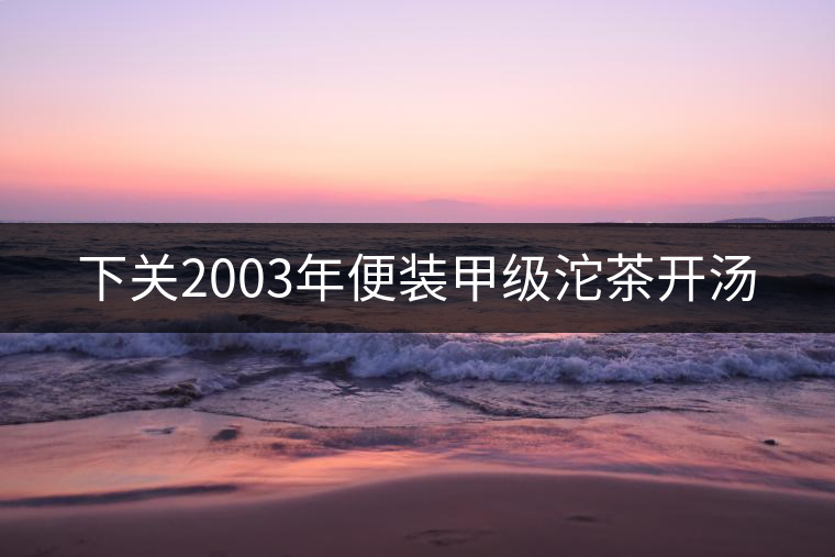 下關2003年便裝甲級沱茶開湯 下關2003年便裝甲級沱茶開湯