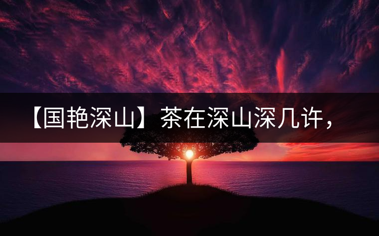 【國(guó)艷深山】茶在深山深幾許，布朗味釅釅幾分！