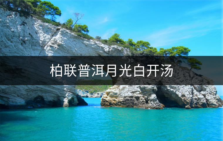 柏聯普洱月光白開湯