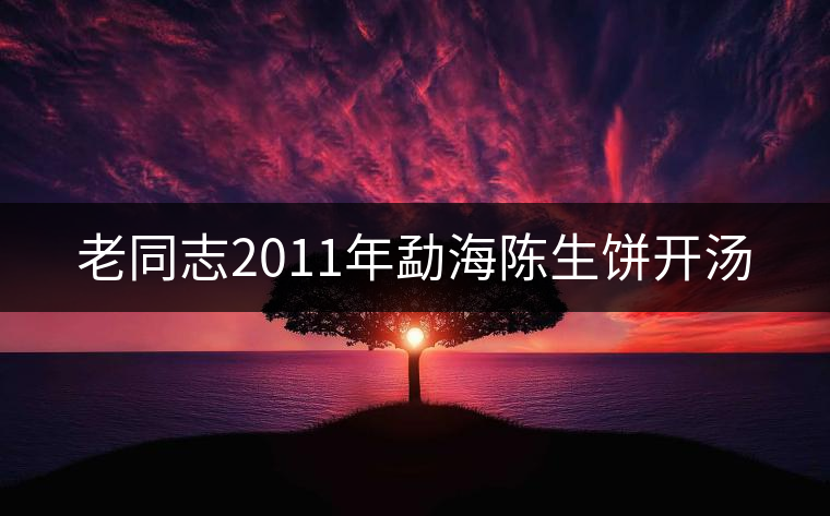老同志2011年勐海陳生餅開(kāi)湯 老同志2011年勐海陳生餅開(kāi)湯