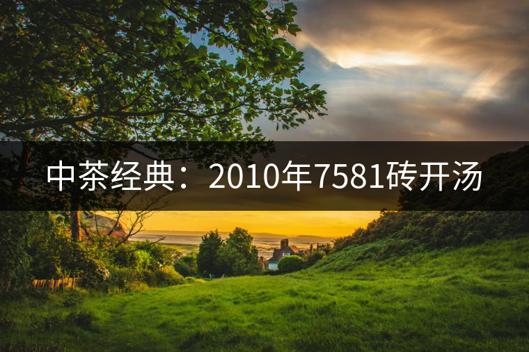 中茶經(jīng)典：2010年7581磚開湯