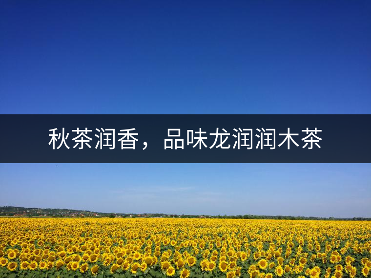 秋茶潤香，品味龍潤潤木茶