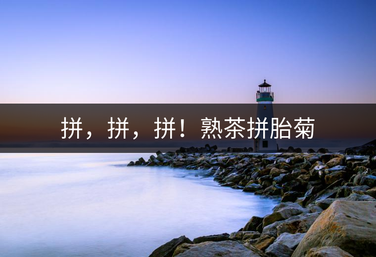 拼，拼，拼！熟茶拼胎菊