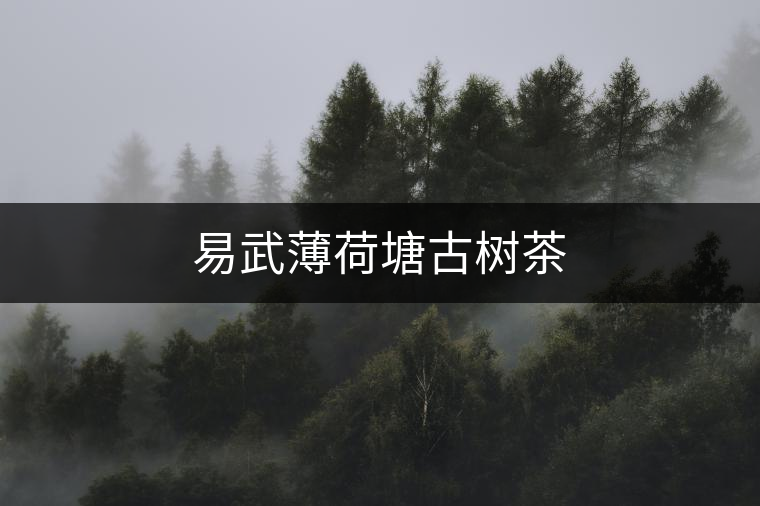 易武薄荷塘古樹(shù)茶