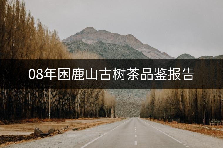 08年困鹿山古樹茶品鑒報(bào)告
