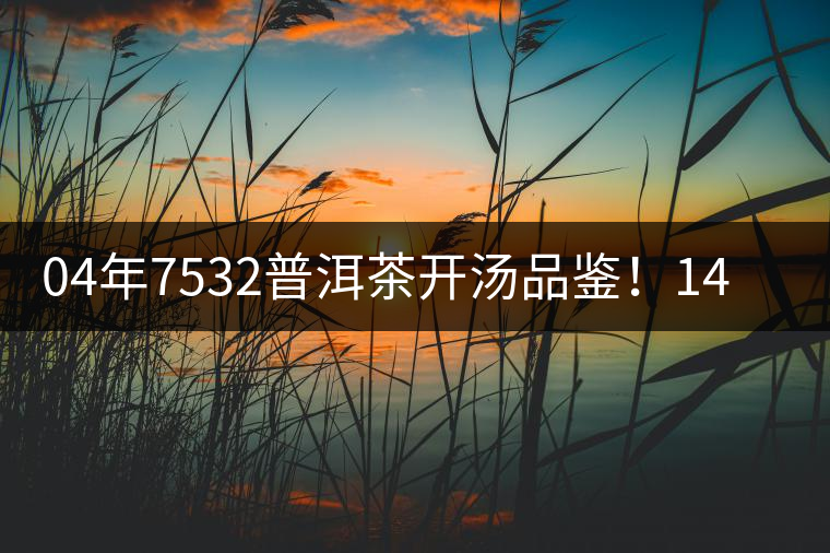04年7532普洱茶開湯品鑒！14年轉(zhuǎn)化，經(jīng)典雪印配方！