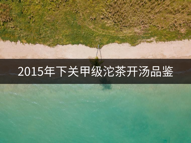 2015年下關(guān)甲級沱茶開湯品鑒 2015年下關(guān)甲級沱茶開湯品鑒