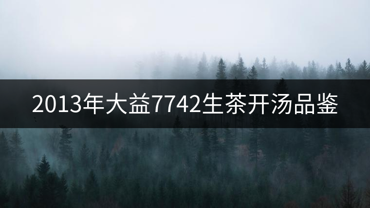 2013年大益7742生茶開(kāi)湯品鑒