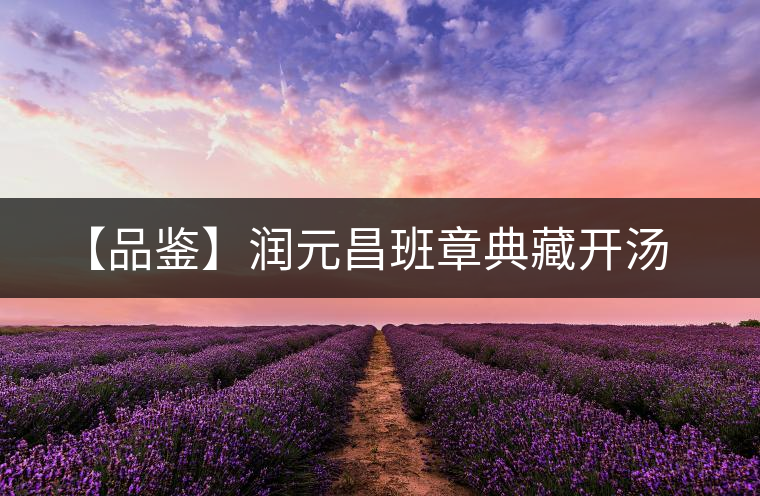 【品鑒】潤(rùn)元昌班章典藏開湯