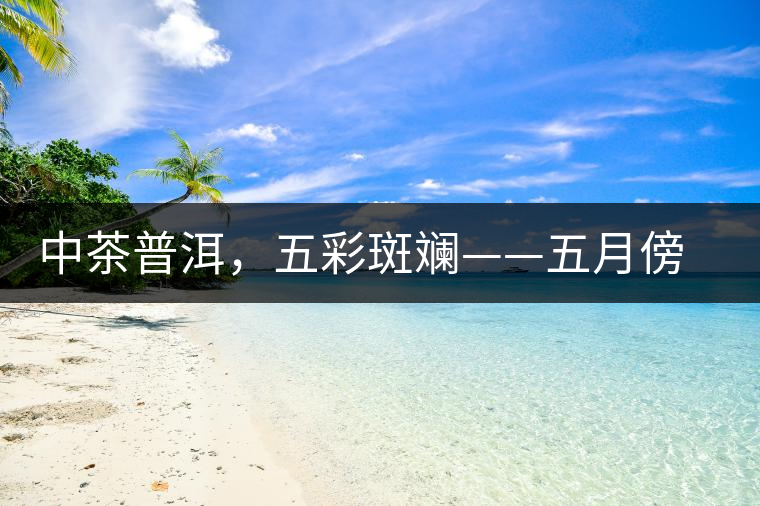 中茶普洱，五彩斑斕——五月傍晚，一道茶