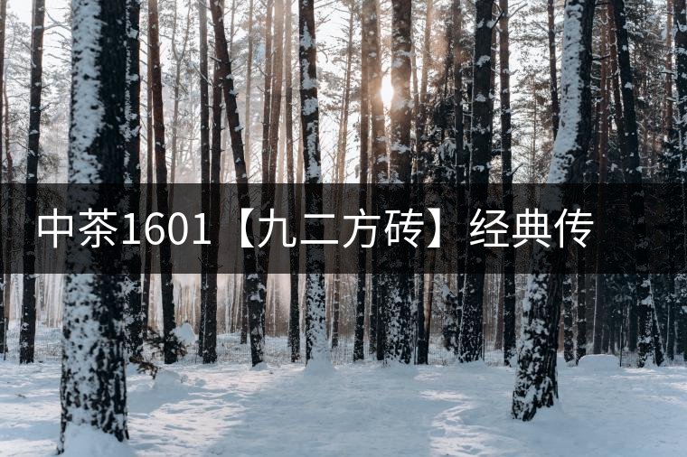 中茶1601【九二方磚】經(jīng)典傳承，巔峰即現(xiàn)