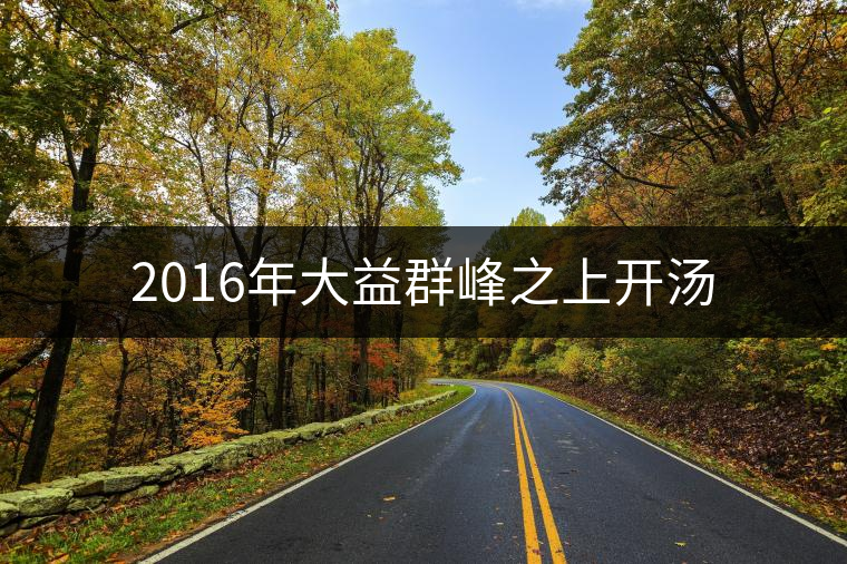 2016年大益群峰之上開湯 2016年大益群峰之上開湯