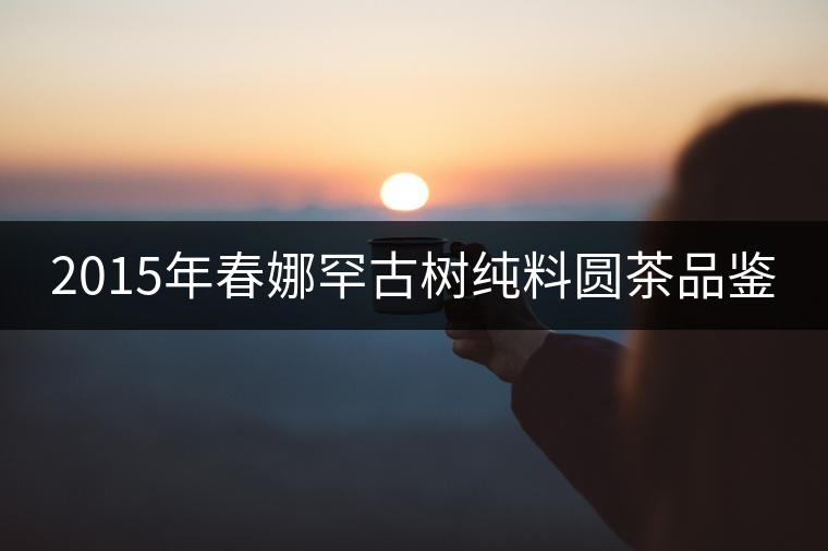 2015年春娜罕古樹純料圓茶品鑒 2015年春娜罕古樹純料圓茶品鑒