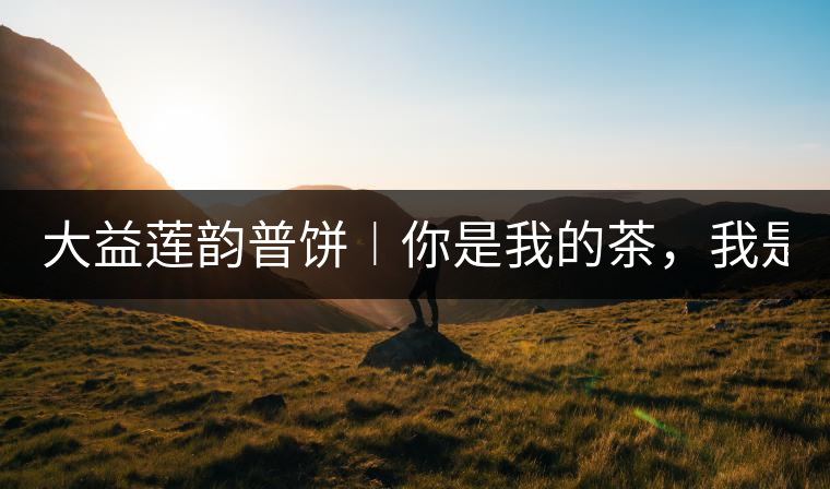 大益蓮韻普餅︱你是我的茶，我是你的人！