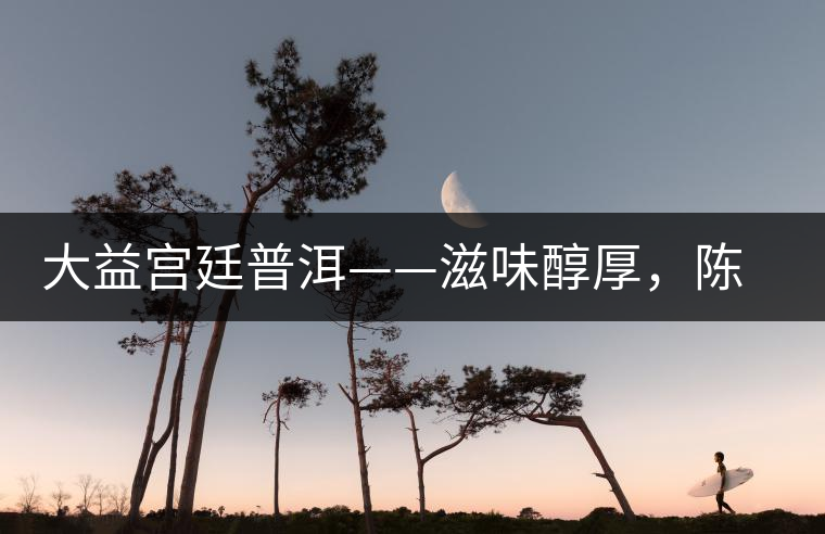 大益宮廷普洱——滋味醇厚，陳香濃郁