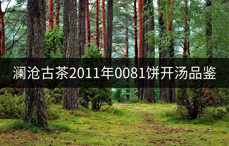 瀾滄古茶2011年0081餅開湯品鑒