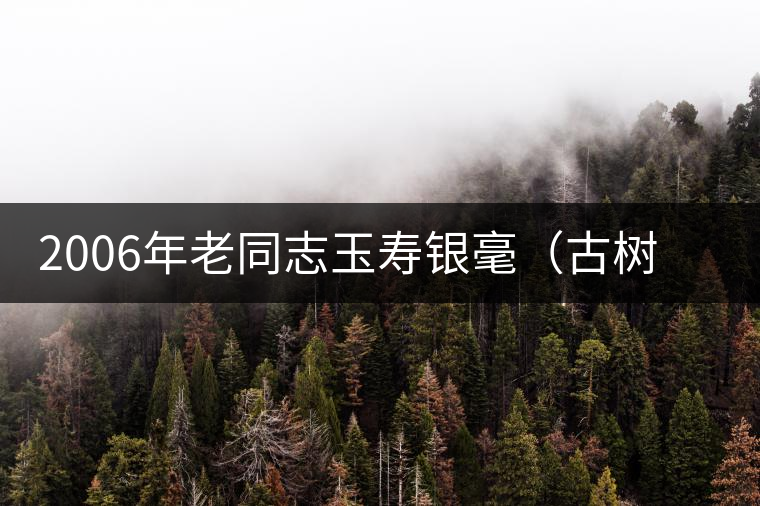 2006年老同志玉壽銀毫（古樹茶）開湯賞析