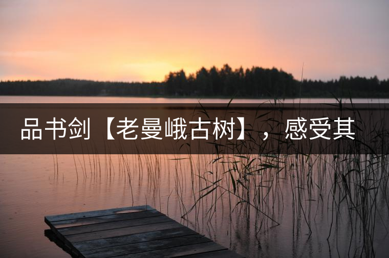 品書(shū)劍【老曼峨古樹(shù)】，感受其霸道苦韻