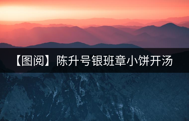 【圖閱】陳升號(hào)銀班章小餅開(kāi)湯品鑒