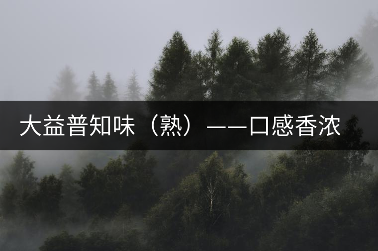 大益普知味（熟）——口感香濃，陳香味足