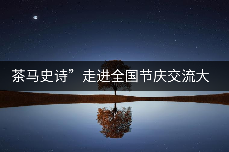 茶馬史詩”走進全國節(jié)慶交流大會 茶馬史詩”走進全國節(jié)慶交流大會