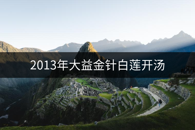 2013年大益金針白蓮開湯 2013年大益金針白蓮開湯