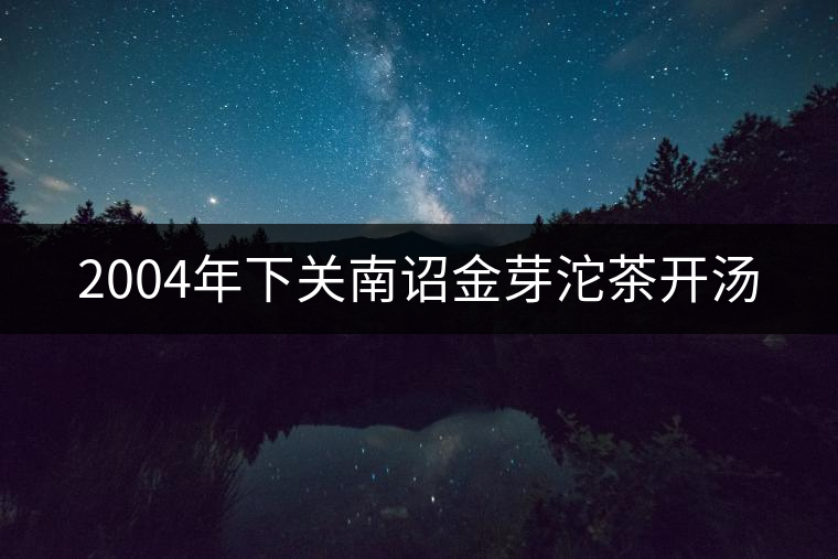 2004年下關(guān)南詔金芽沱茶開湯 2004年下關(guān)南詔金芽沱茶開湯
