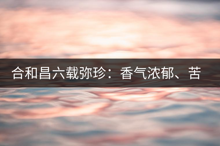 合和昌六載彌珍：香氣濃郁、苦澀均衡