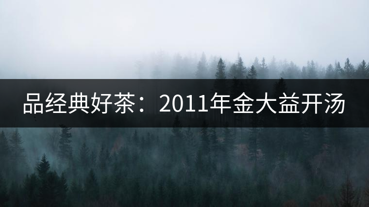 品經(jīng)典好茶：2011年金大益開(kāi)湯