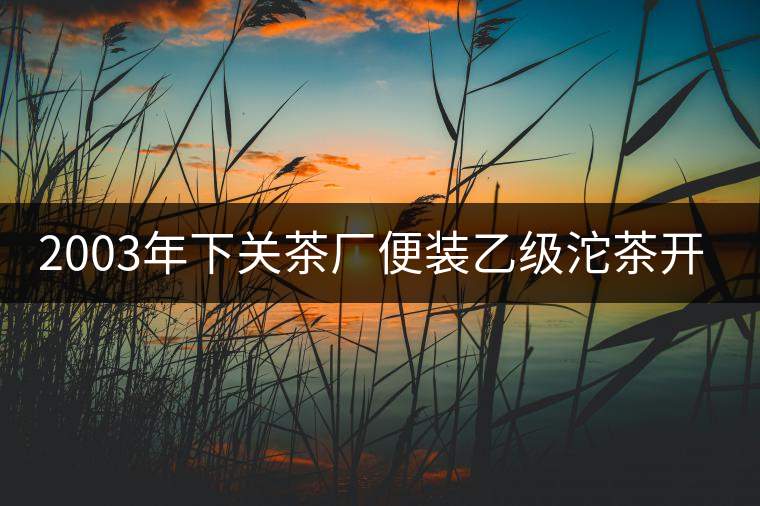 2003年下關(guān)茶廠便裝乙級沱茶開湯品鑒 2003年下關(guān)茶廠便裝乙級沱茶開湯品鑒