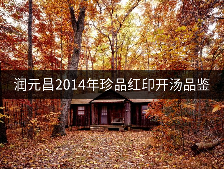 潤(rùn)元昌2014年珍品紅印開湯品鑒 潤(rùn)元昌2014年珍品紅印開湯品鑒