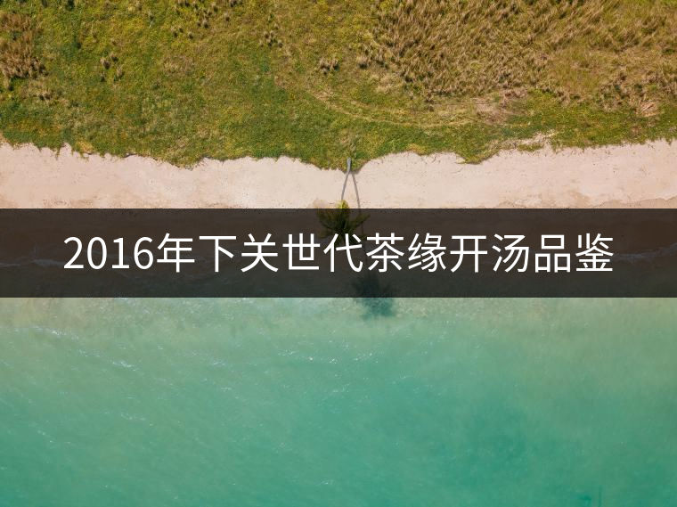2016年下關(guān)世代茶緣開湯品鑒