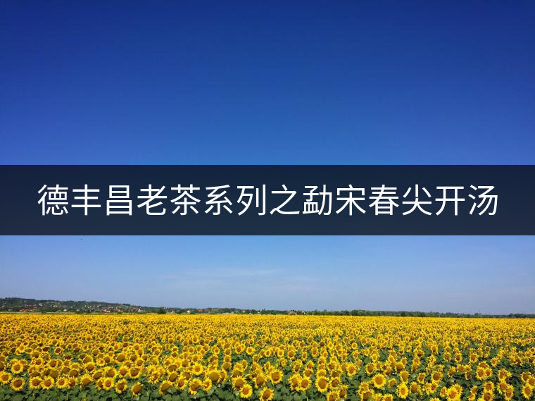 德豐昌老茶系列之勐宋春尖開(kāi)湯 德豐昌老茶系列之勐宋春尖開(kāi)湯