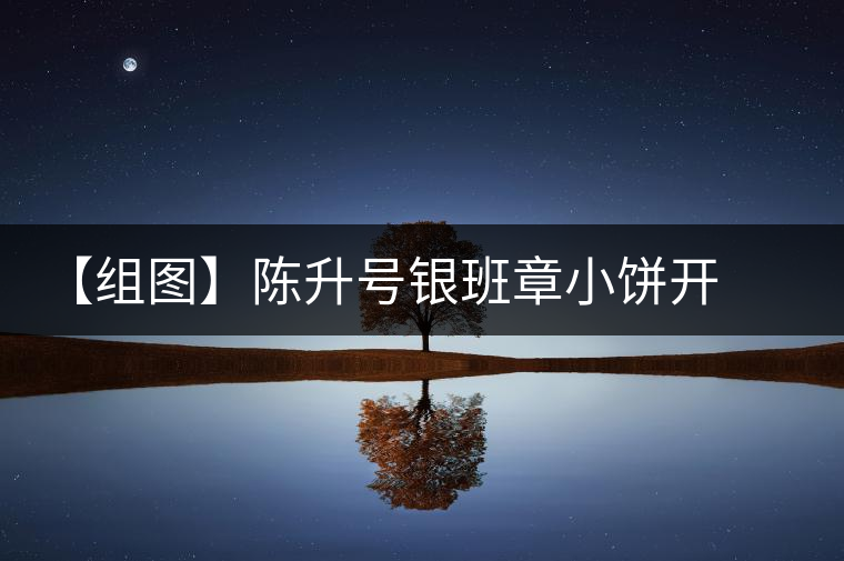 【組圖】陳升號(hào)銀班章小餅開湯