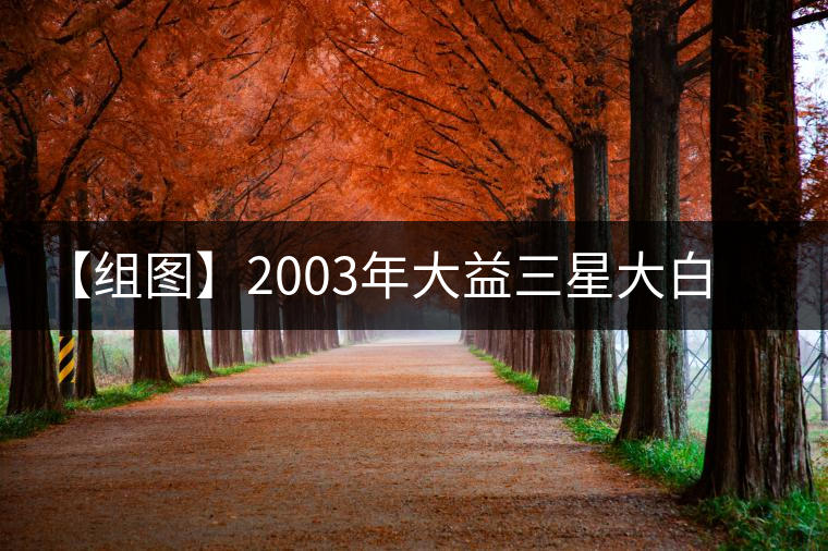 【組圖】2003年大益三星大白菜開(kāi)湯