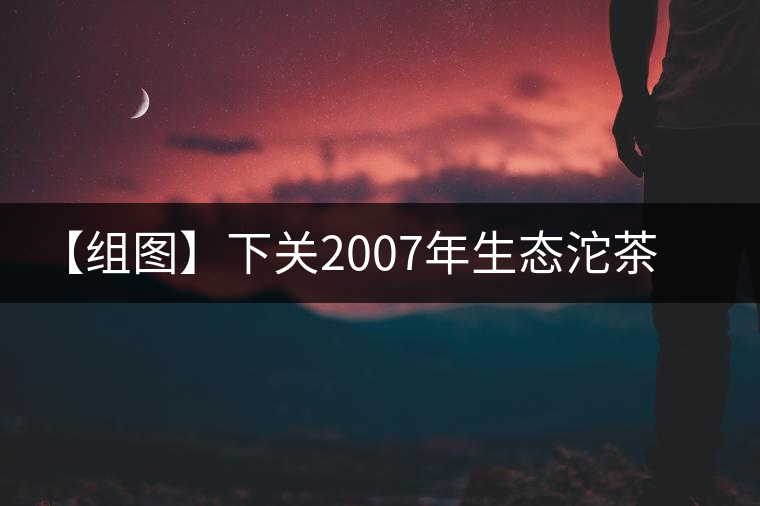【組圖】下關(guān)2007年生態(tài)沱茶開(kāi)湯 【組圖】下關(guān)2007年生態(tài)沱茶開(kāi)湯