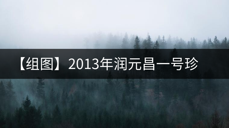 【組圖】2013年潤(rùn)元昌一號(hào)珍藏方磚開(kāi)湯