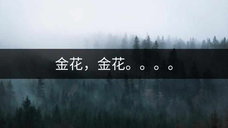 金花，金花。。。。