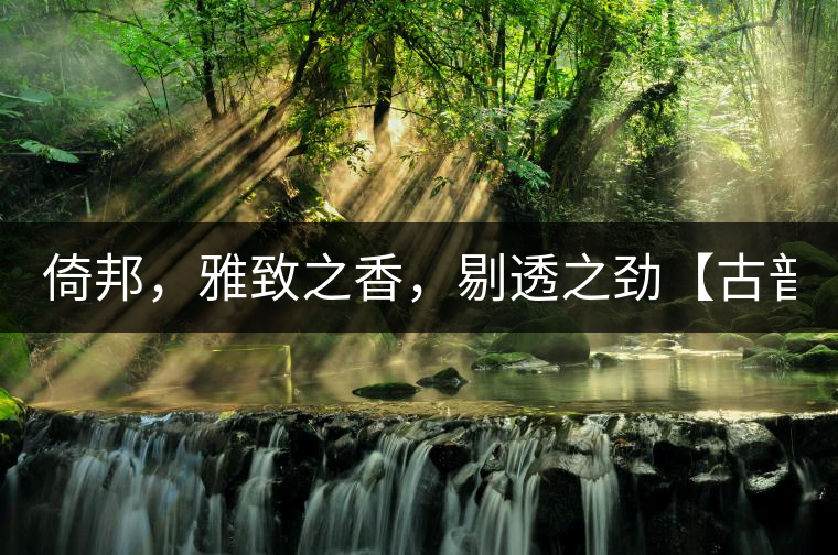 倚邦，雅致之香，剔透之勁【古普十二山品鑒】