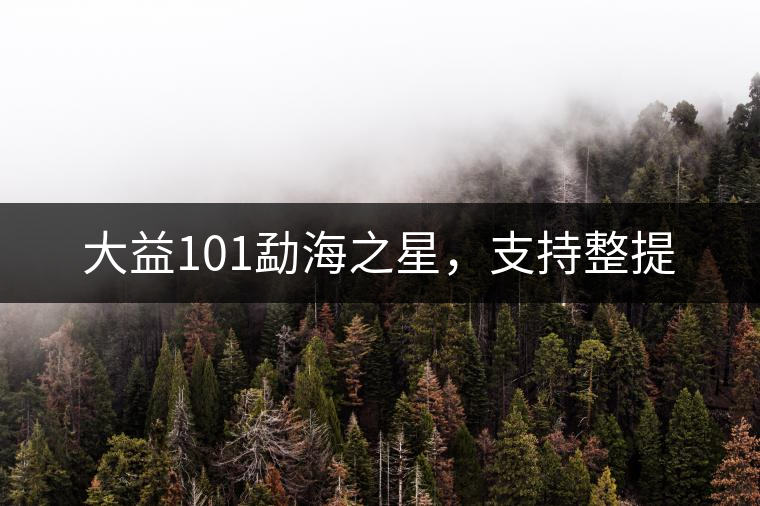 大益101勐海之星，支持整提