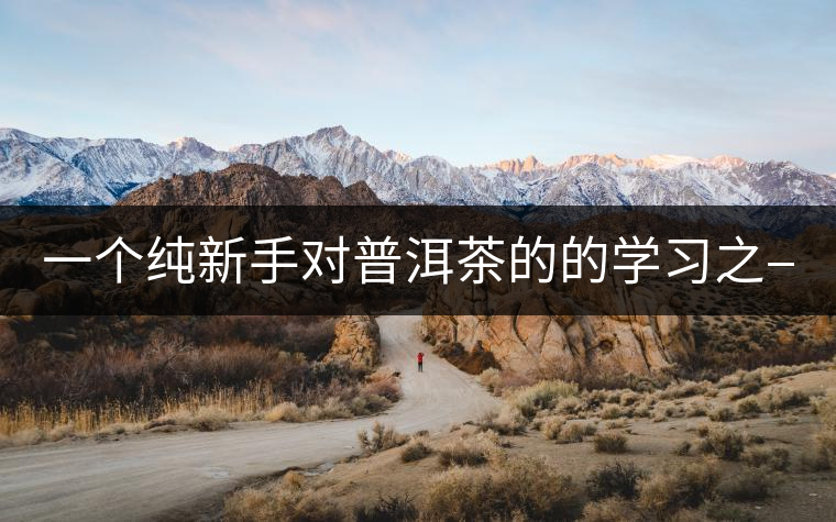 一個純新手對普洱茶的的學習之——【色】