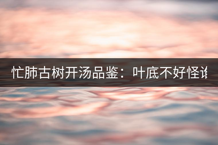 忙肺古樹開湯品鑒：葉底不好怪誰？
