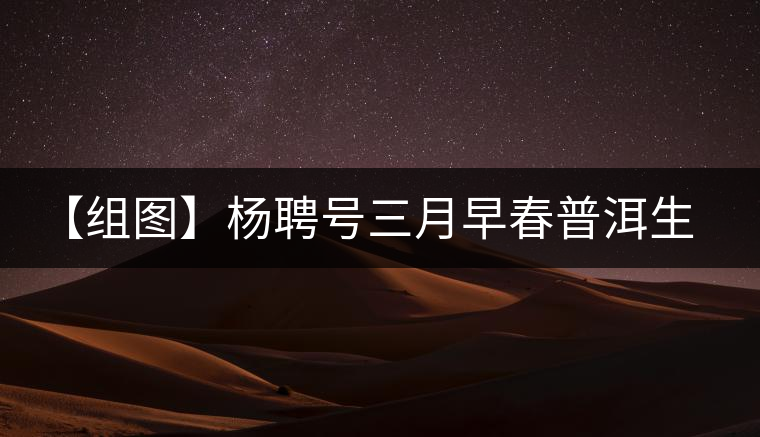 【組圖】楊聘號(hào)三月早春普洱生茶開湯 【組圖】楊聘號(hào)三月早春普洱生茶開湯