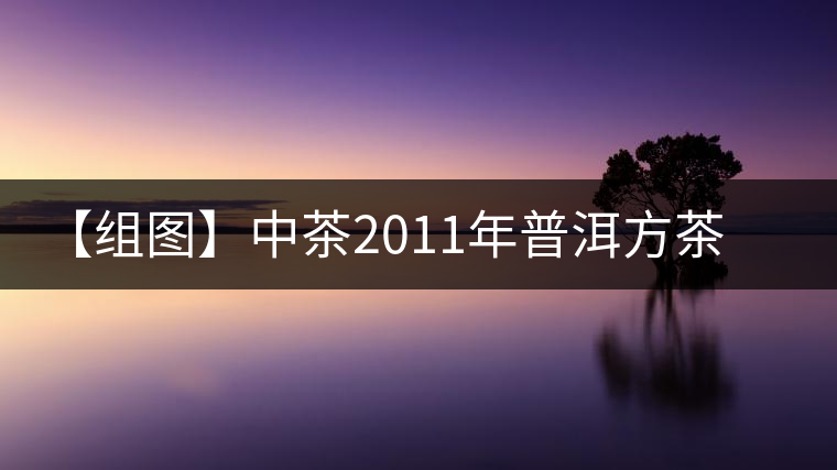 【組圖】中茶2011年普洱方茶開湯 【組圖】中茶2011年普洱方茶開湯